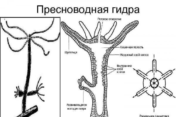 Зеркало kraken тор ссылка рабочее