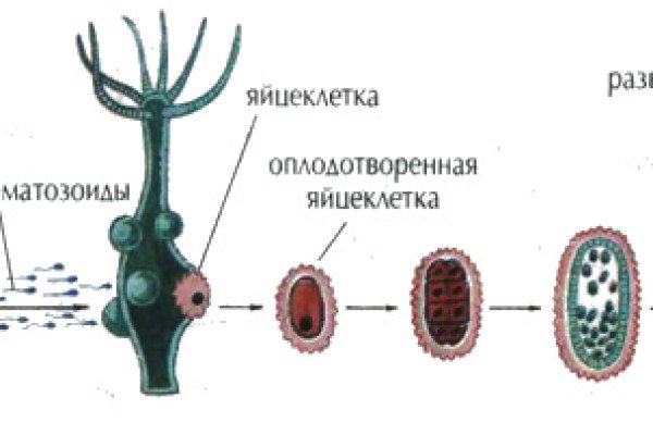 Kraken официальный сайт vtor run