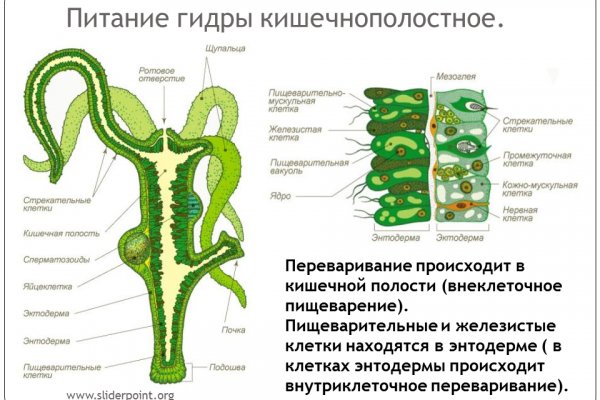 Kraken официальные зеркала kraken 11